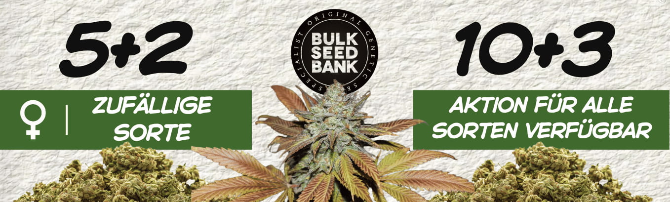 Bulk seeds free seed promo